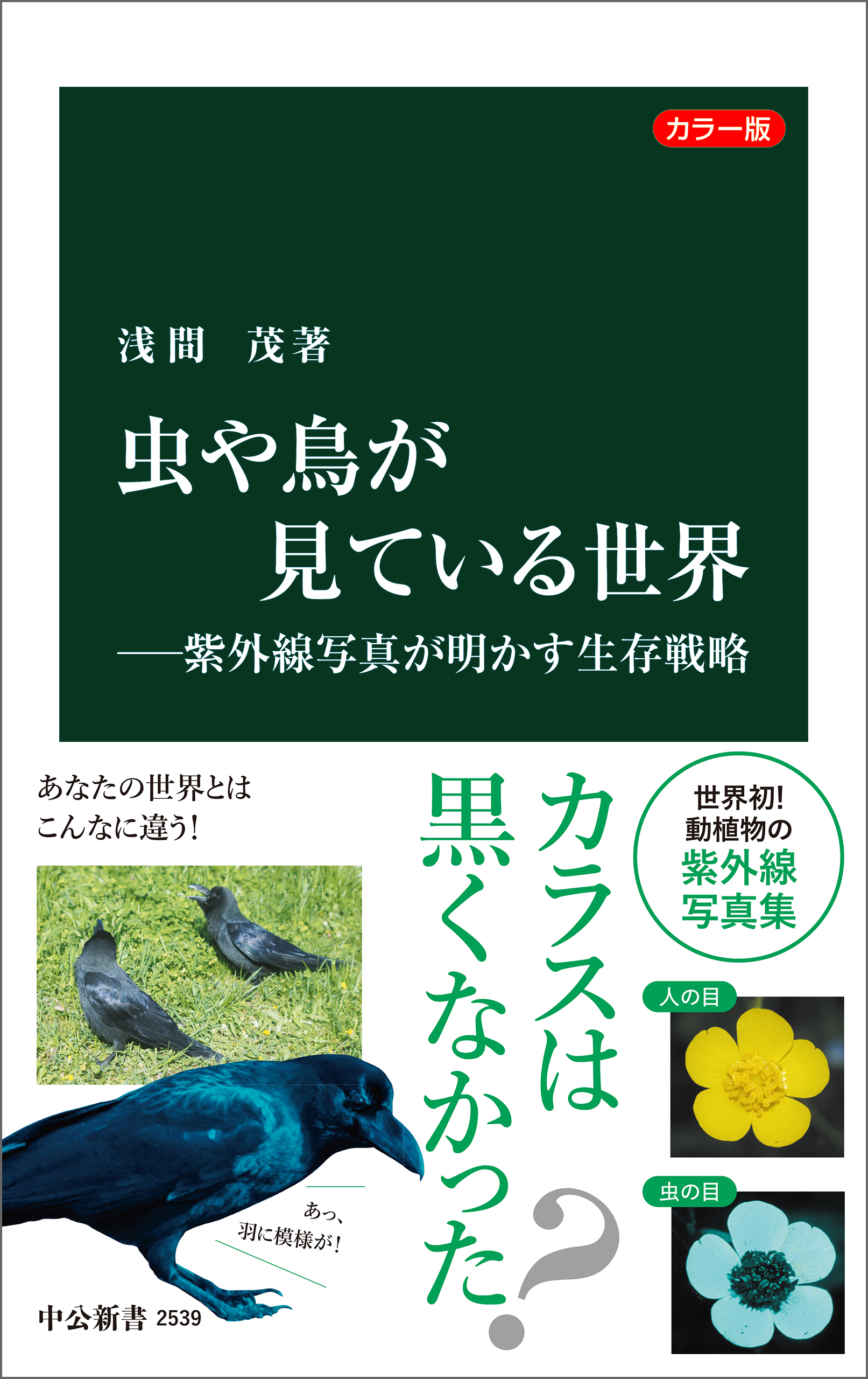 カラー版 虫や鳥が見ている世界―紫外線写真が明かす生存戦略 - 浅間茂