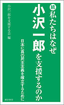 続 私たちはなぜ小沢一郎を支援するのか