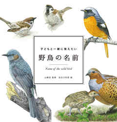 子どもと一緒に覚えたい　野鳥の名前