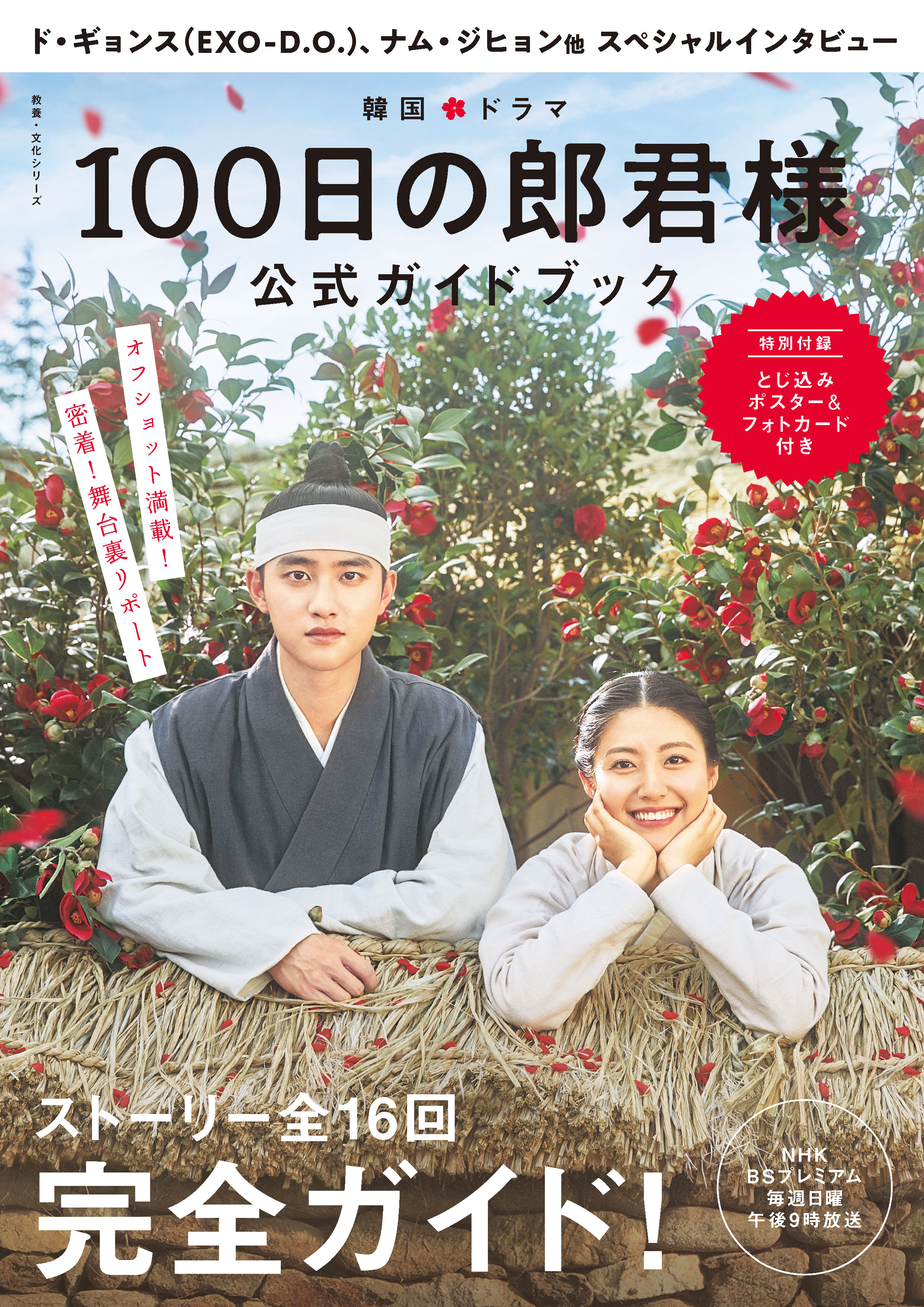 あらすじ 全巻セットdvd 100日の郎君様 8枚セット 第1話 第16話 最終 レンタル落ち 韓国 遊ing 時津店 ジャケット