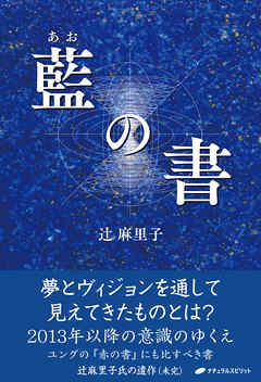 本コミック ビジネス・実用 ジャンル藍の書 - 辻麻里子 - 漫画