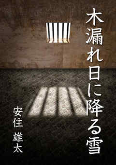 木漏れ日に降る雪