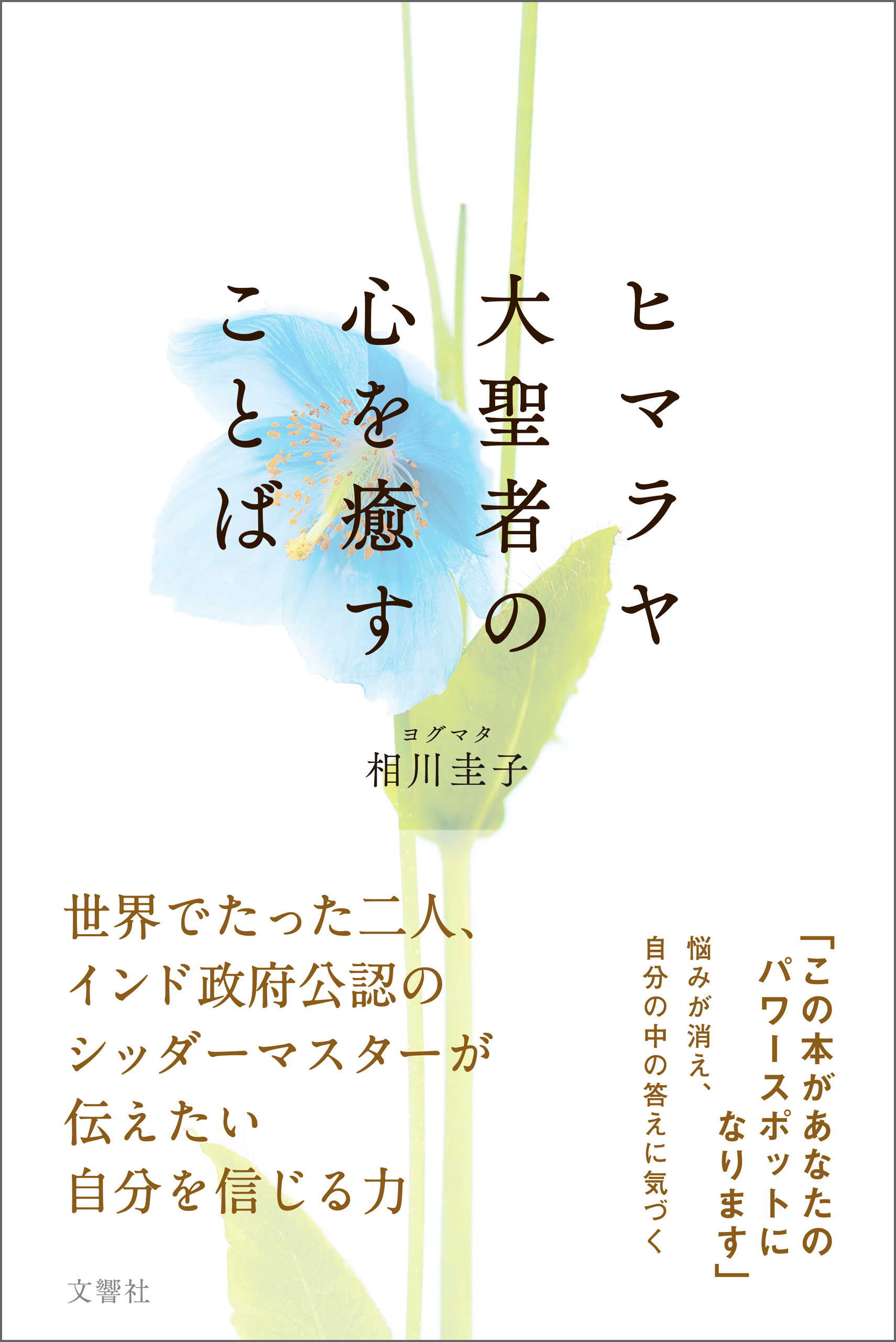 ヒマラヤ大聖者の心を癒すことば 漫画 無料試し読みなら 電子書籍ストア ブックライブ