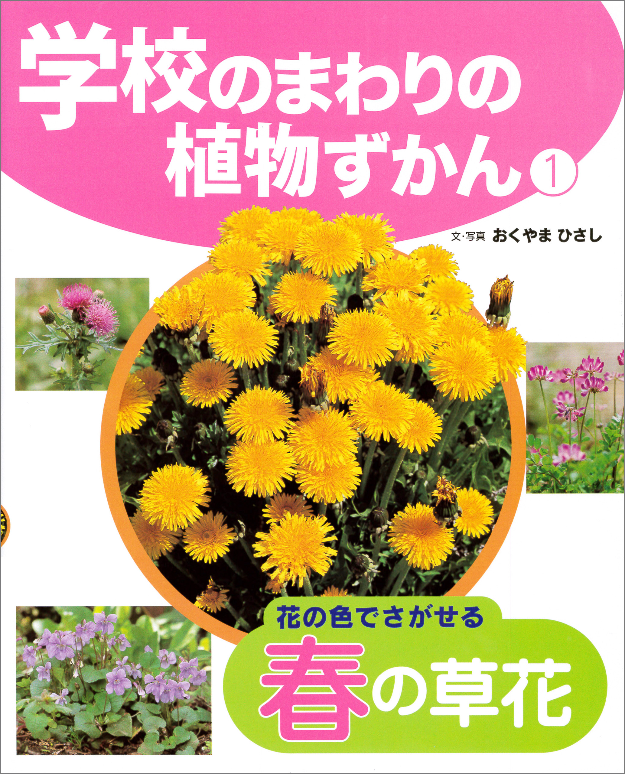 学校のまわりの植物ずかん 花の色でさがせる春の草花 漫画 無料試し読みなら 電子書籍ストア ブックライブ