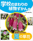 花の色でさがせる夏の草花２　学校のまわりの植物ずかん