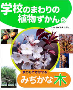 葉の形でさがせるみぢかな木５　学校のまわりの植物ずかん