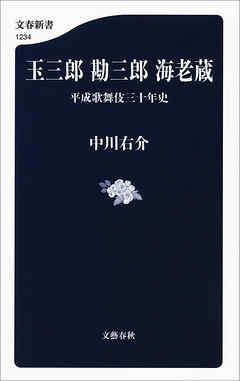 玉三郎 勘三郎 海老蔵　平成歌舞伎三十年史