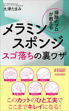 掃除のプロが教える　メラミンスポンジ スゴ落ちの裏ワザ