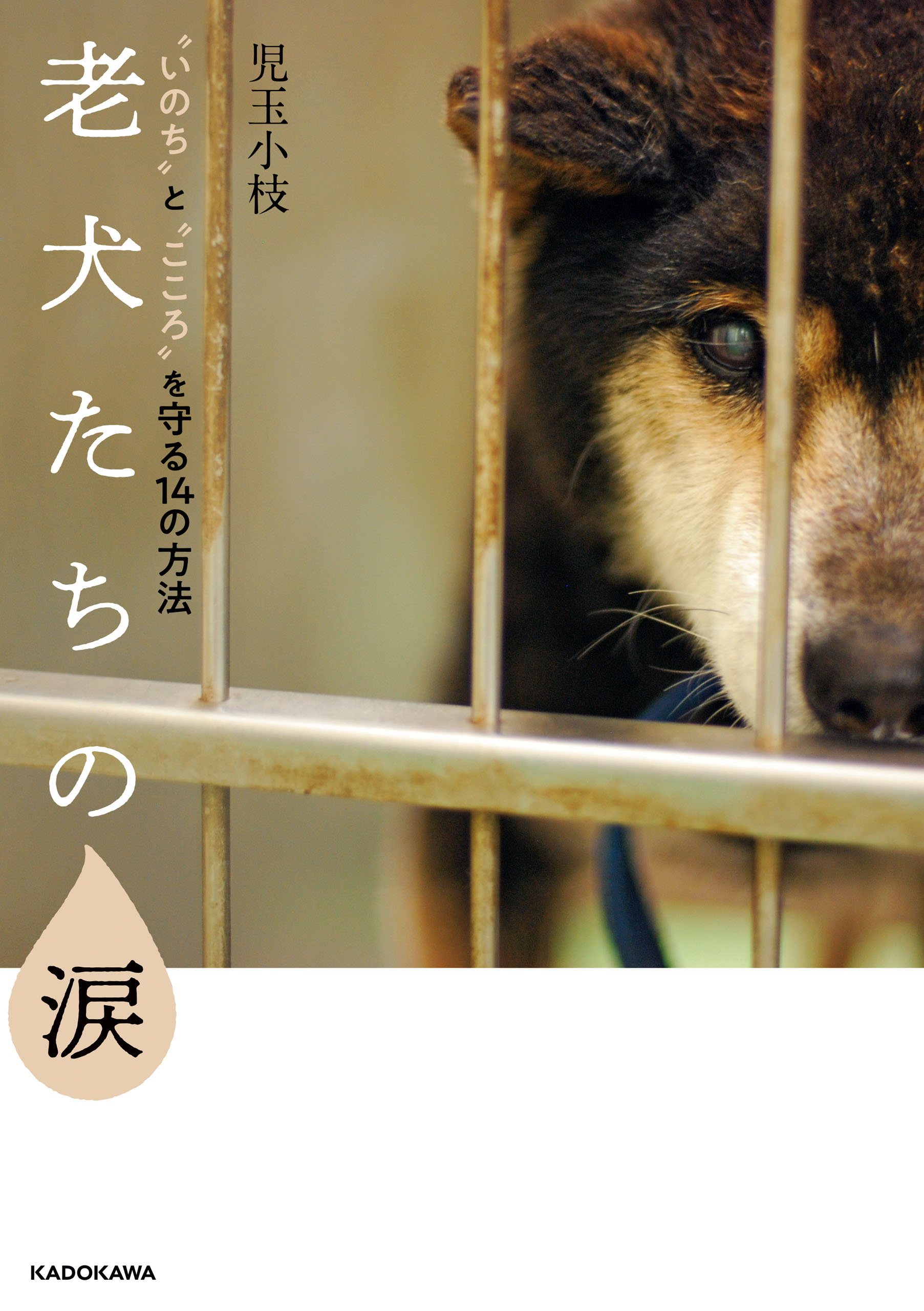 老犬たちの涙 いのち と こころ を守る14の方法 漫画 無料試し読みなら 電子書籍ストア ブックライブ