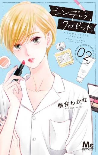 レディースコミック　25冊＋付録冊子2冊 コミック 2冊セット - メルカリ