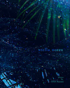 ビジネス・実用 ジャンルstella notes - 伊藤奈穂実
