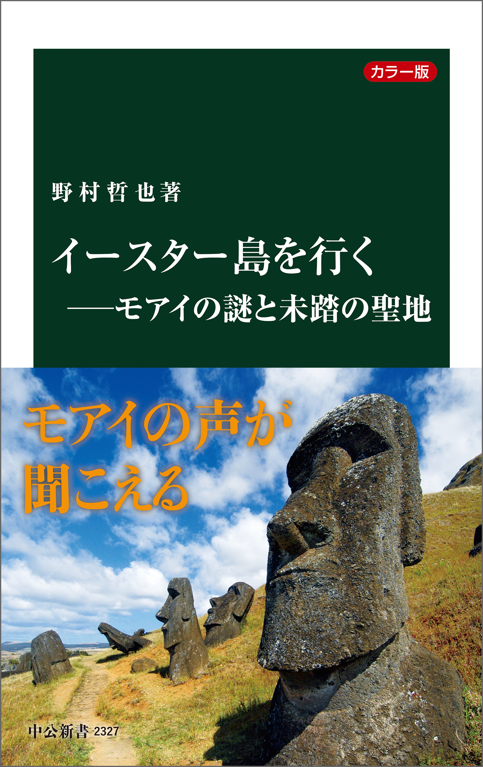 カラー版 イースター島を行く―モアイの謎と未踏の聖地 - 野村哲也