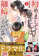 comic Berry’s初めましてこんにちは、離婚してください番外編3巻