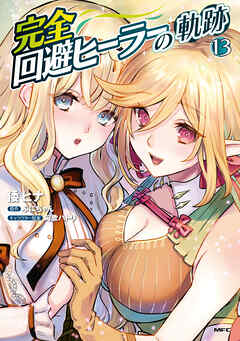 完全回避ヒーラーの軌跡