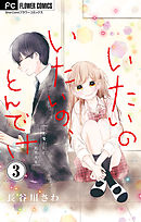 いたいのいたいの、とんでけ～小悪魔JKと鈍感先生～【マイクロ】 3