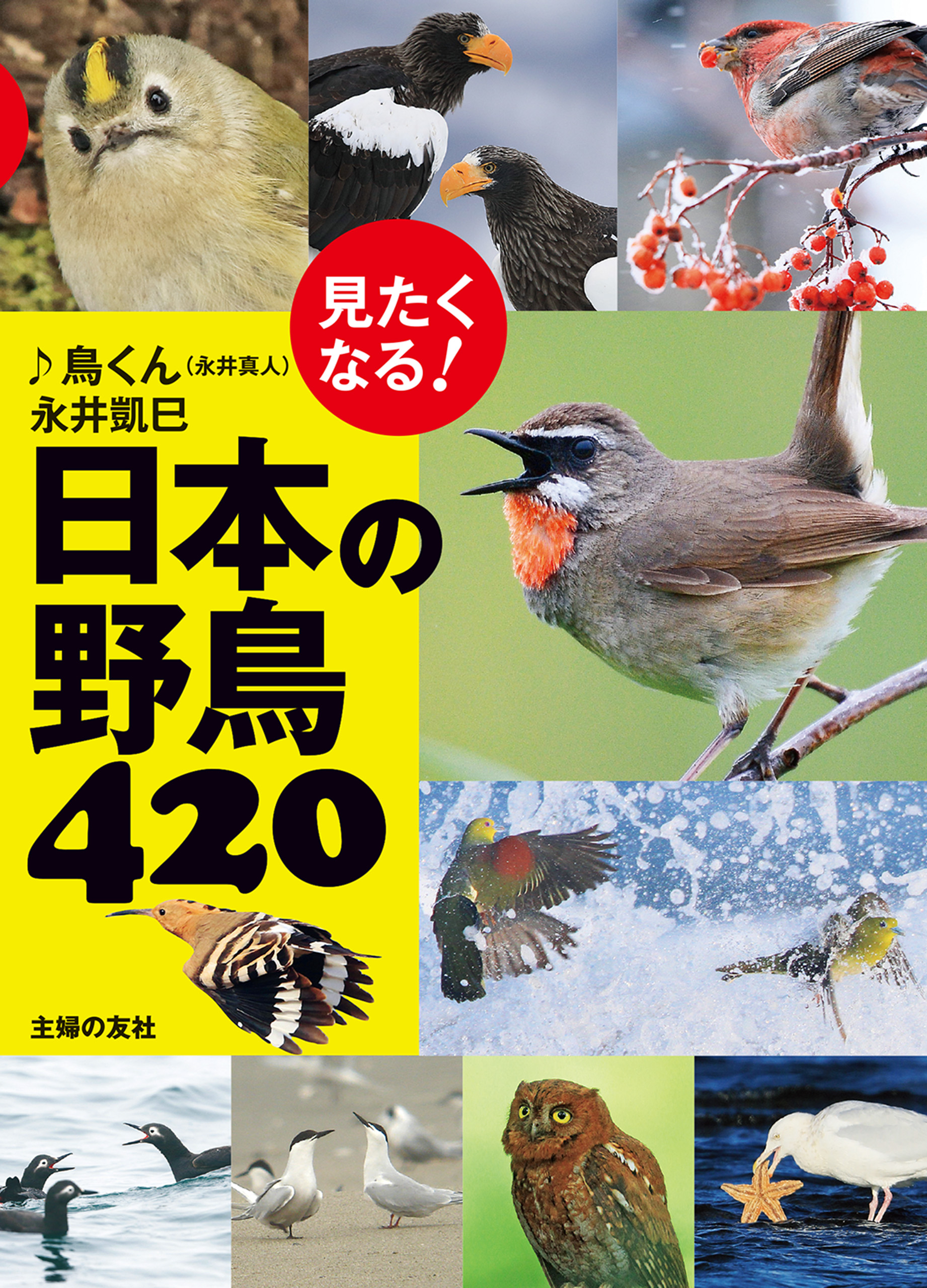 見たくなる！日本の野鳥４２０ ♪鳥くん（永井真人）/永井凱巳 漫画・無料試し読みなら、電子書籍ストア ブックライブ