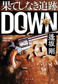 果てしなき追跡（下）