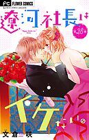 遼河社長はイケない。【マイクロ】 28