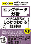 図解即戦力　ビッグデータ分析のシステムと開発がこれ1冊でしっかりわかる教科書