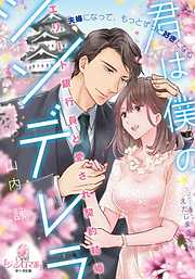 君は僕のシンデレラ　エリート銀行員と愛され契約結婚