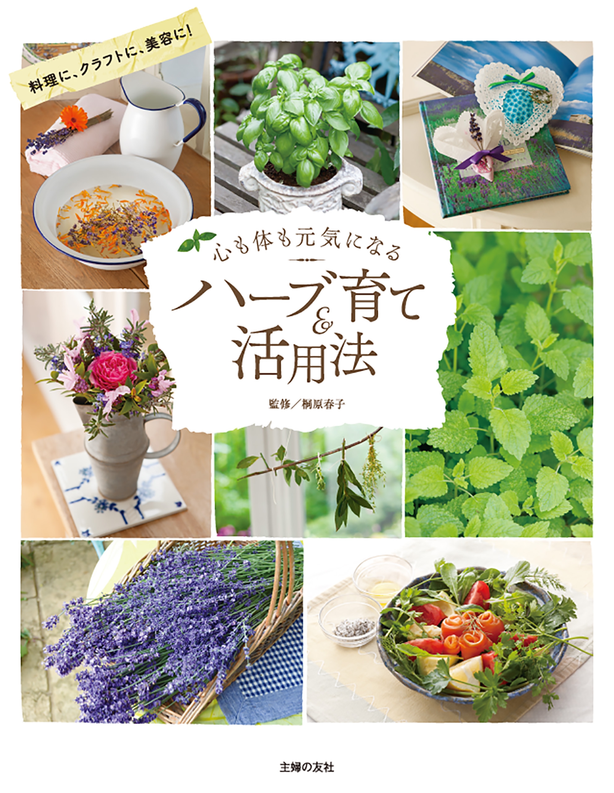 心も体も元気になるハーブ育て 活用法 漫画 無料試し読みなら 電子書籍ストア ブックライブ