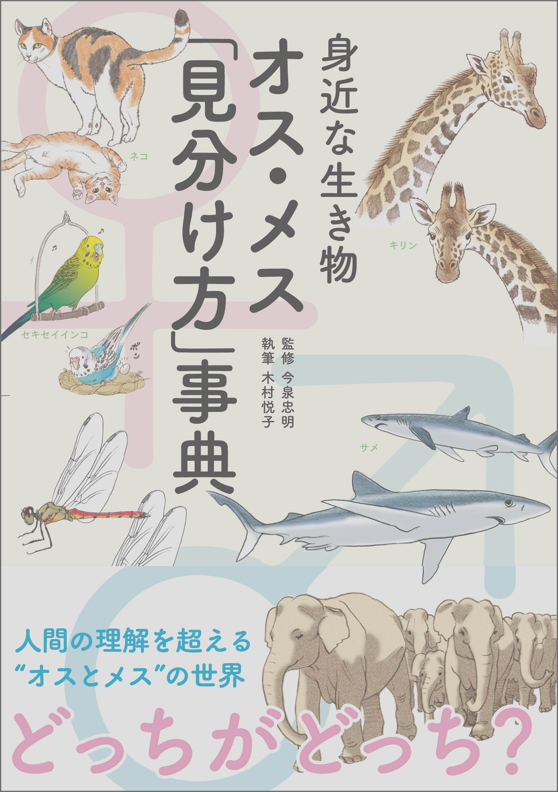 身近な生き物 オス メス 見分け方 事典 木村悦子 今泉忠明 漫画 無料試し読みなら 電子書籍ストア ブックライブ