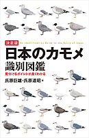 決定版 日本のカモメ識別図鑑：見分けるポイントが良くわかる