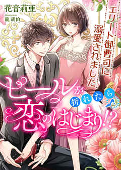 ヒールが折れたら恋のはじまり！？ エリート御曹司に溺愛されました