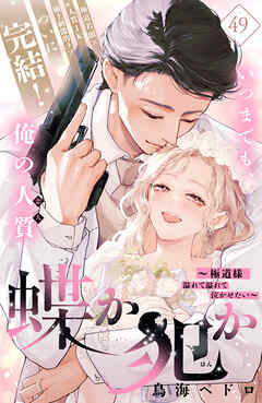 蝶か犯か　～極道様　溢れて溢れて泣かせたい～　分冊版（４９）