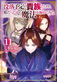 没落予定の貴族だけど、暇だったから魔法を極めてみた１１