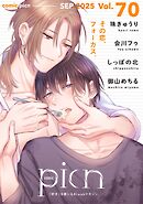 comic picn vol.70