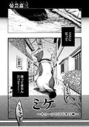 ミケ（その２）