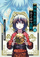 神無き世界のカミサマ活動(11)