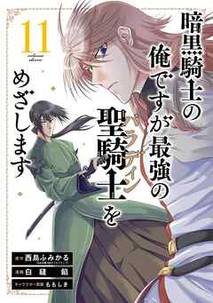 暗黒騎士の俺ですが最強の聖騎士をめざします