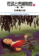 佐武と市捕物控　ビッグコミック版 11
