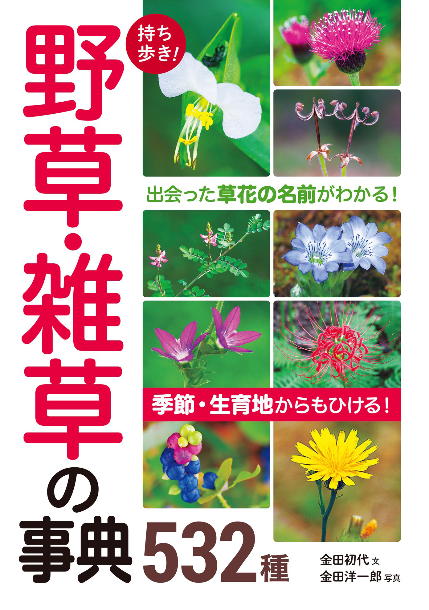 持ち歩き 野草 雑草の事典532種 漫画 無料試し読みなら 電子書籍ストア ブックライブ