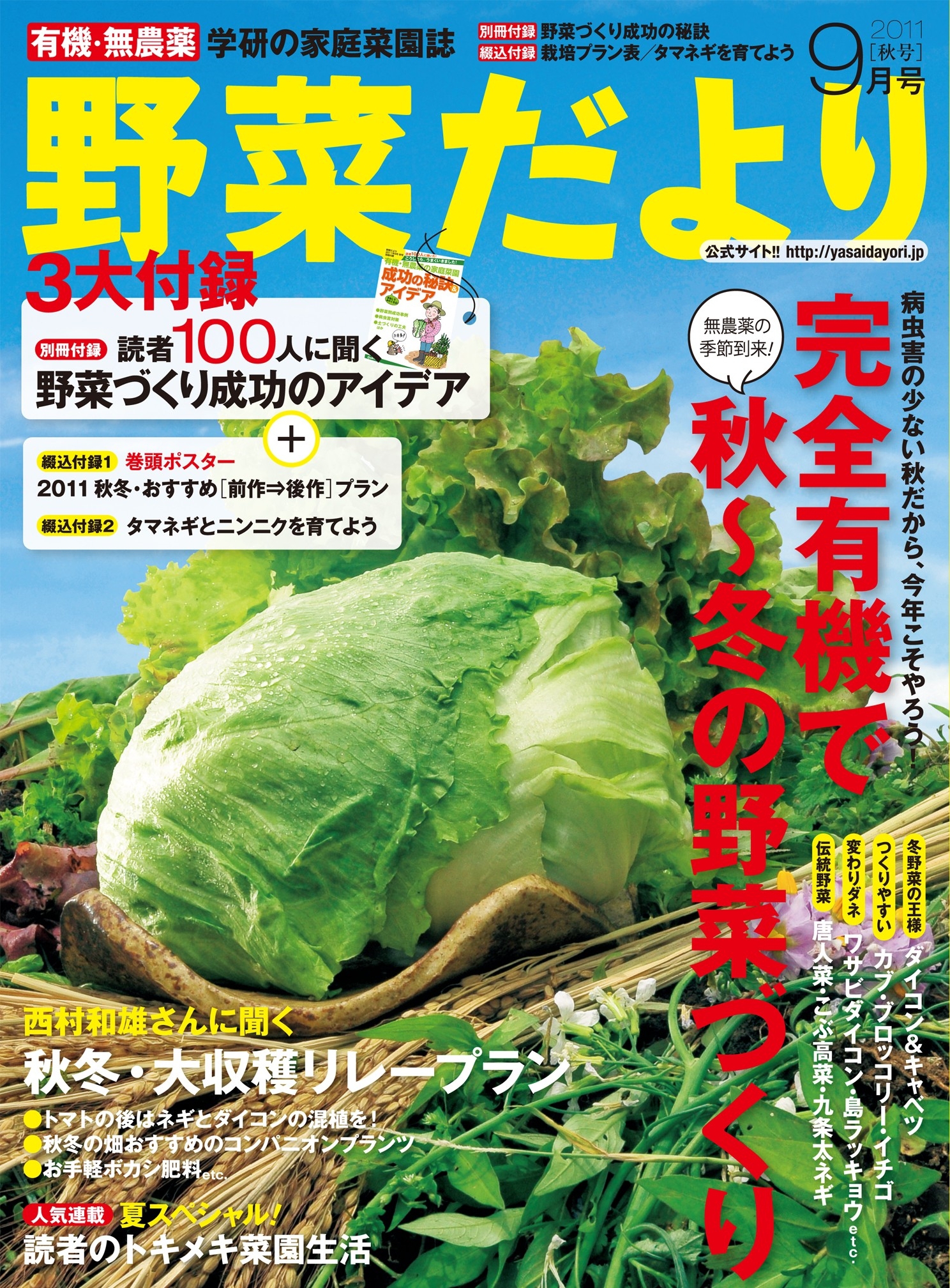 九条ネギ長ネギ農薬不使用除草剤無し - 野菜