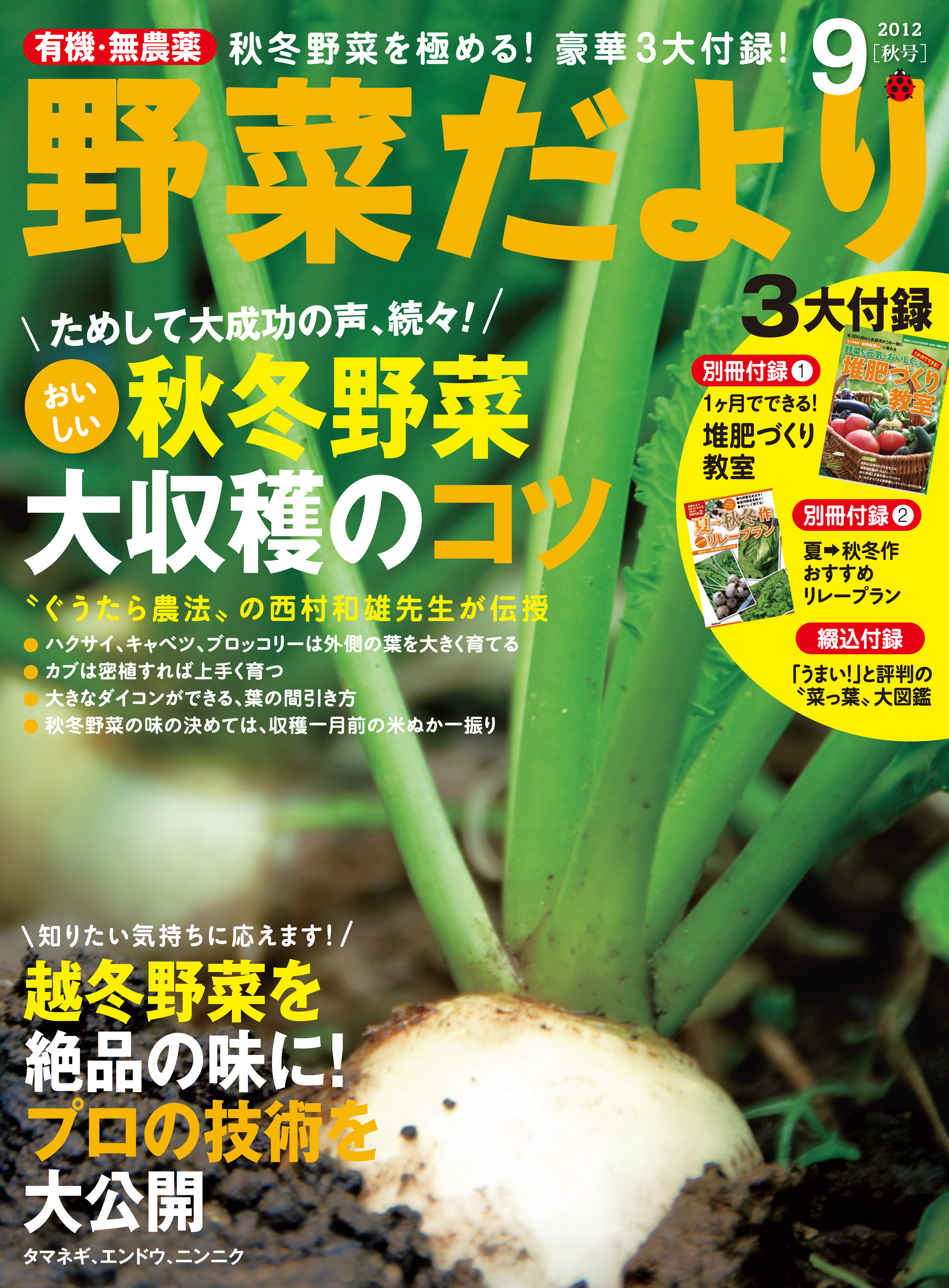 家庭菜園誌 野菜だより 2017初夏号 - 趣味