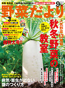 野菜だより2013年9月号