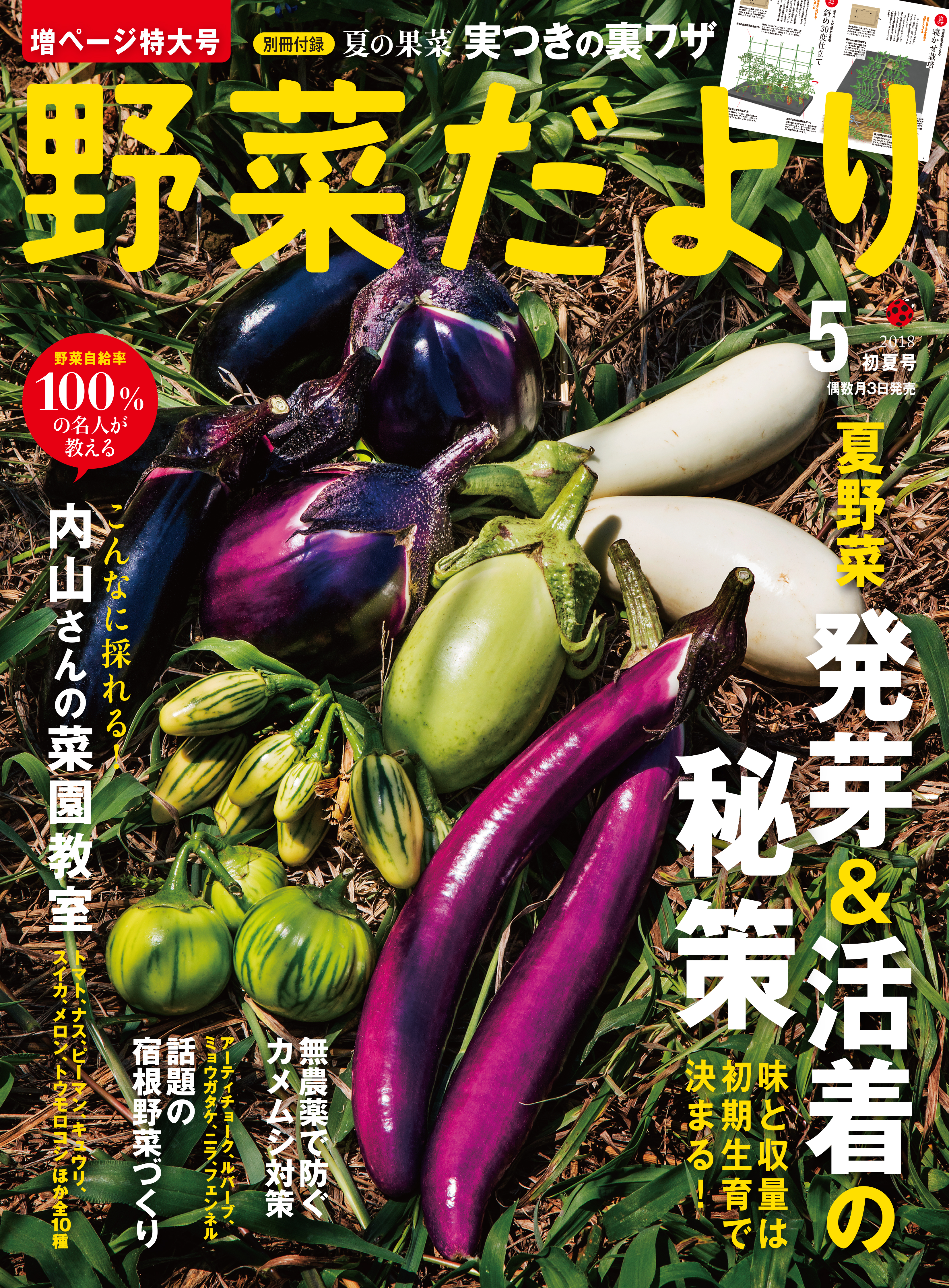 家庭菜園誌 野菜だより 2017初夏号 - 趣味