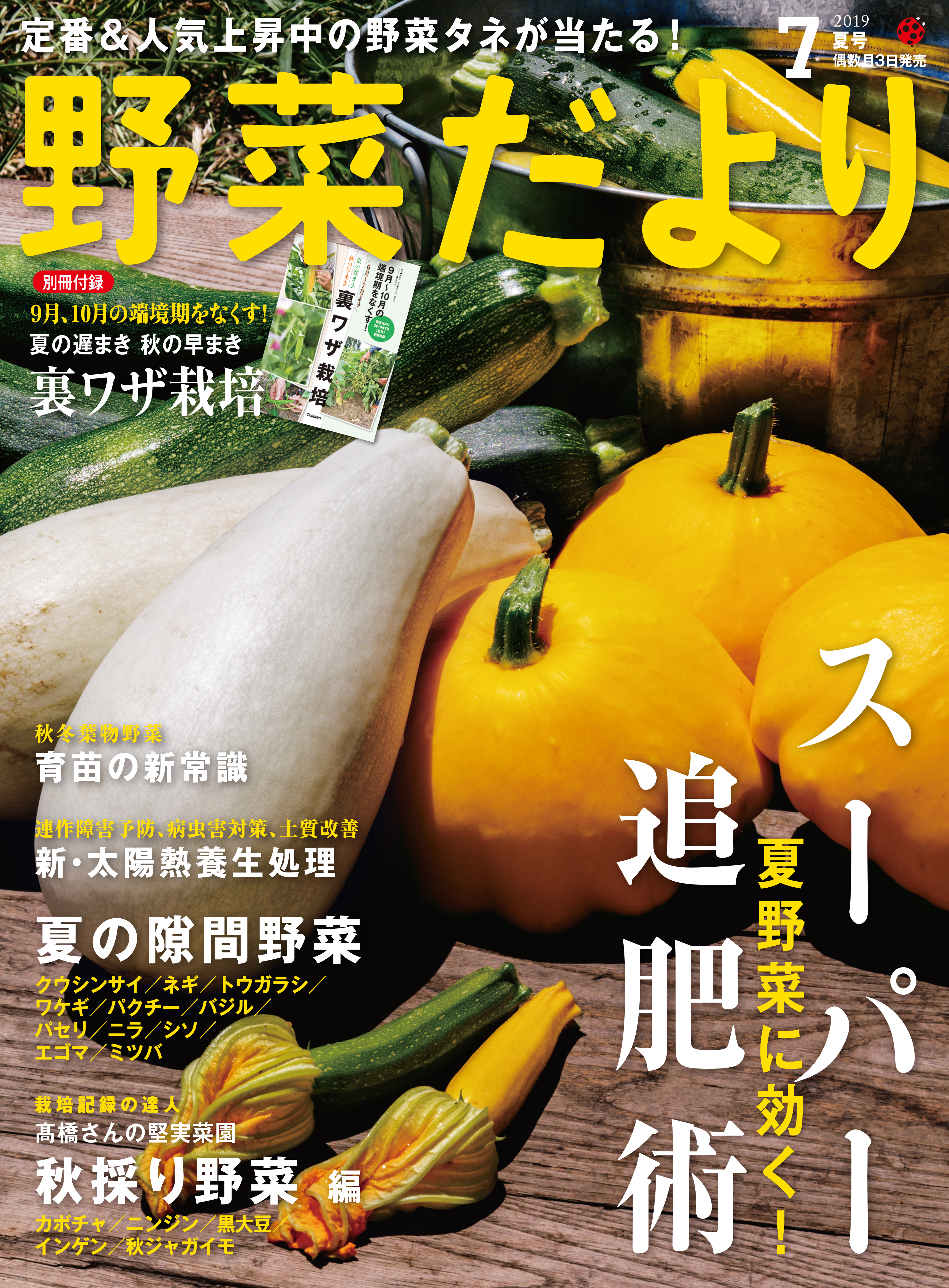 やさい畑 秋号 2019年 10月号