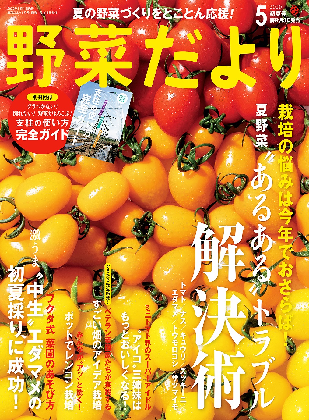 トマトの育て方：初心者からベテランまで完全ガイド