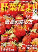 野菜だより2020年11月号