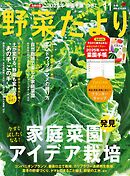 野菜だより (2024年11月号)