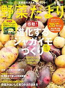 野菜だより (2025年1月号)