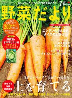 野菜だより (2025年7月号)