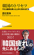 韓国のトリセツ - やたら面倒な隣人と上手に別れる方法 -