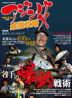 アジング最強攻略 X