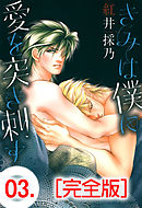 きみは僕に愛を突き刺す【完全版】　3