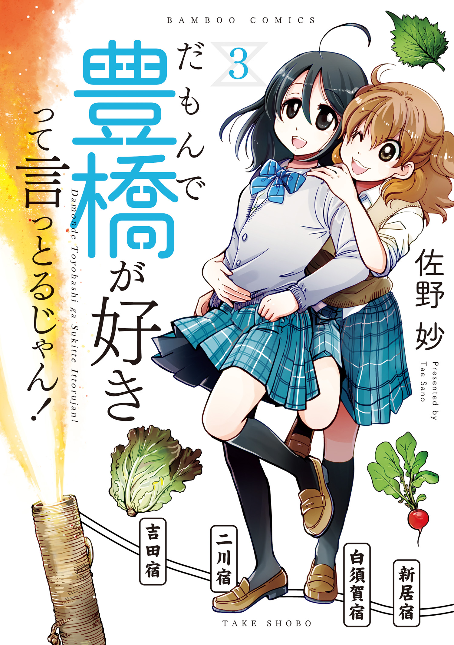 だもんで豊橋が好きって言っとるじゃん 3 最新刊 佐野妙 漫画 無料試し読みなら 電子書籍ストア ブックライブ